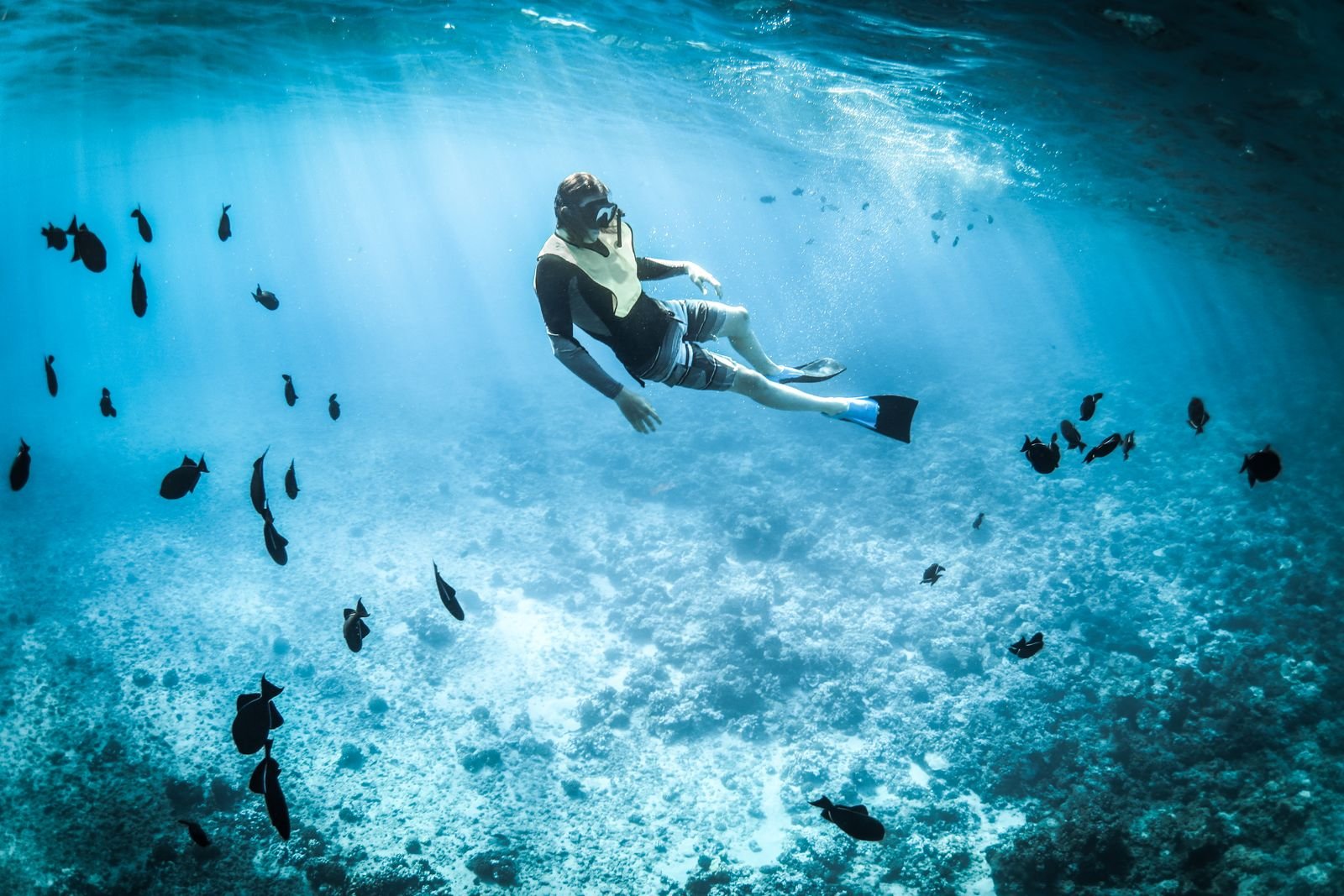 Modern scuba diver above a reef